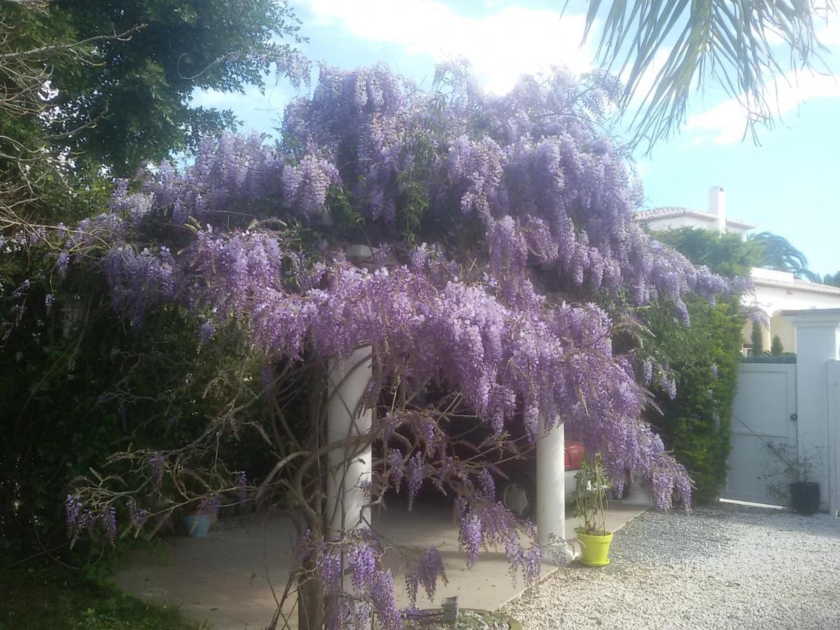 Villa Amadeus Xabia Balcon del Mar Dış mekan fotoğraf