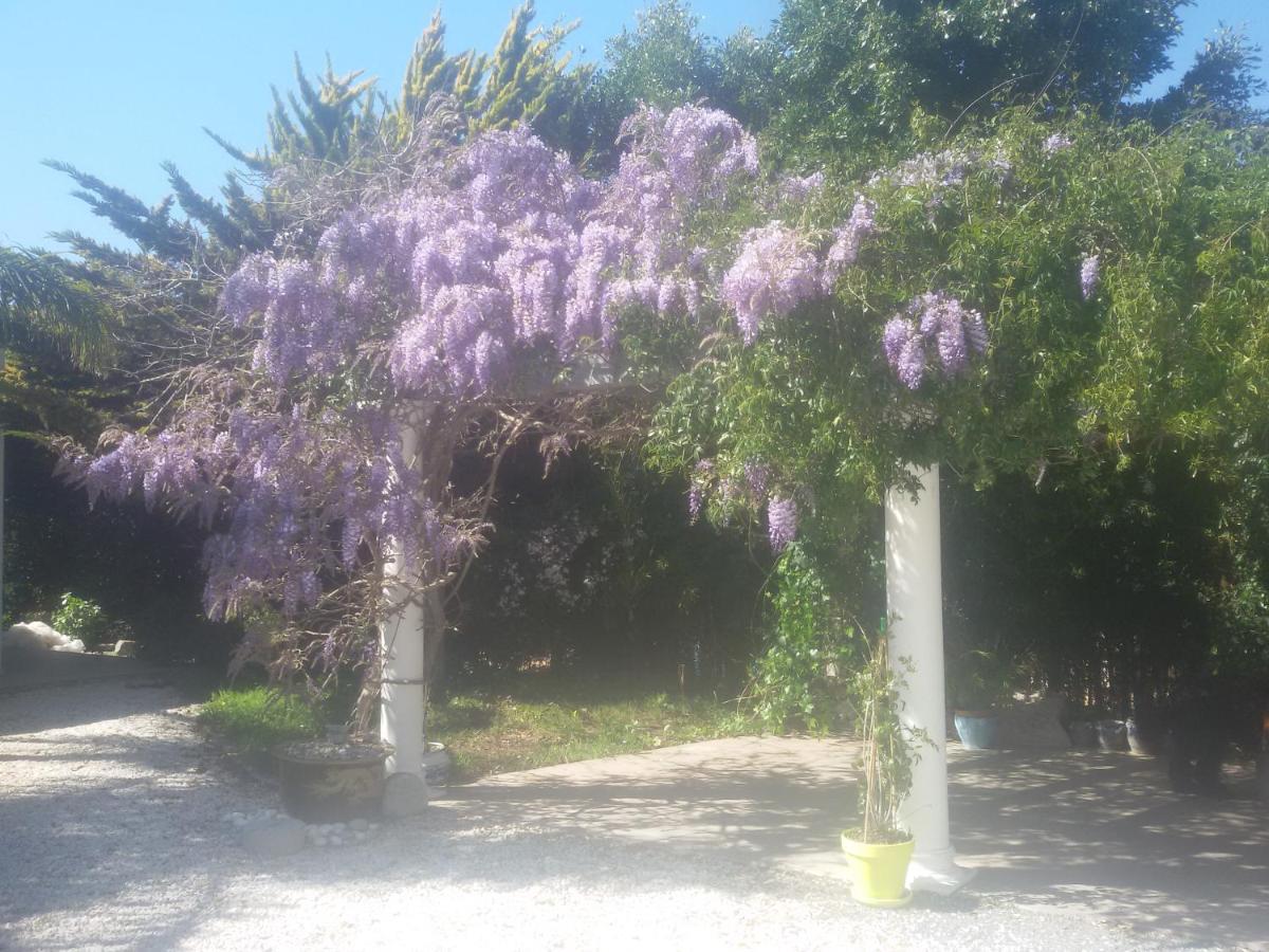 Villa Amadeus Xabia Balcon del Mar Dış mekan fotoğraf