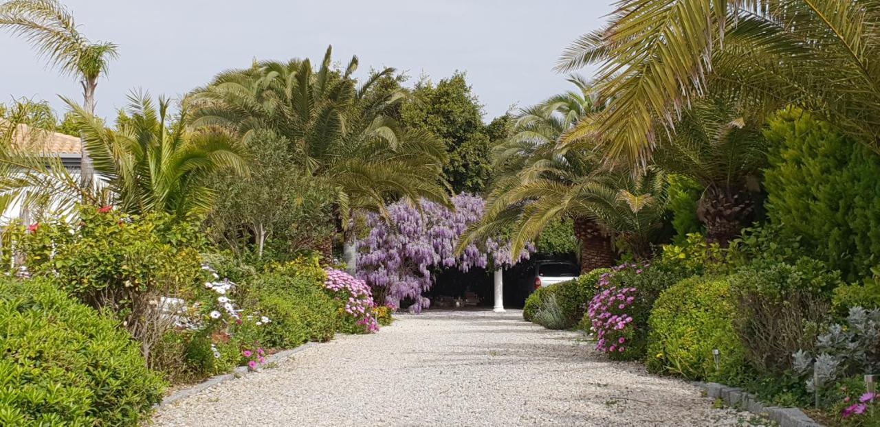 Villa Amadeus Xabia Balcon del Mar Dış mekan fotoğraf
