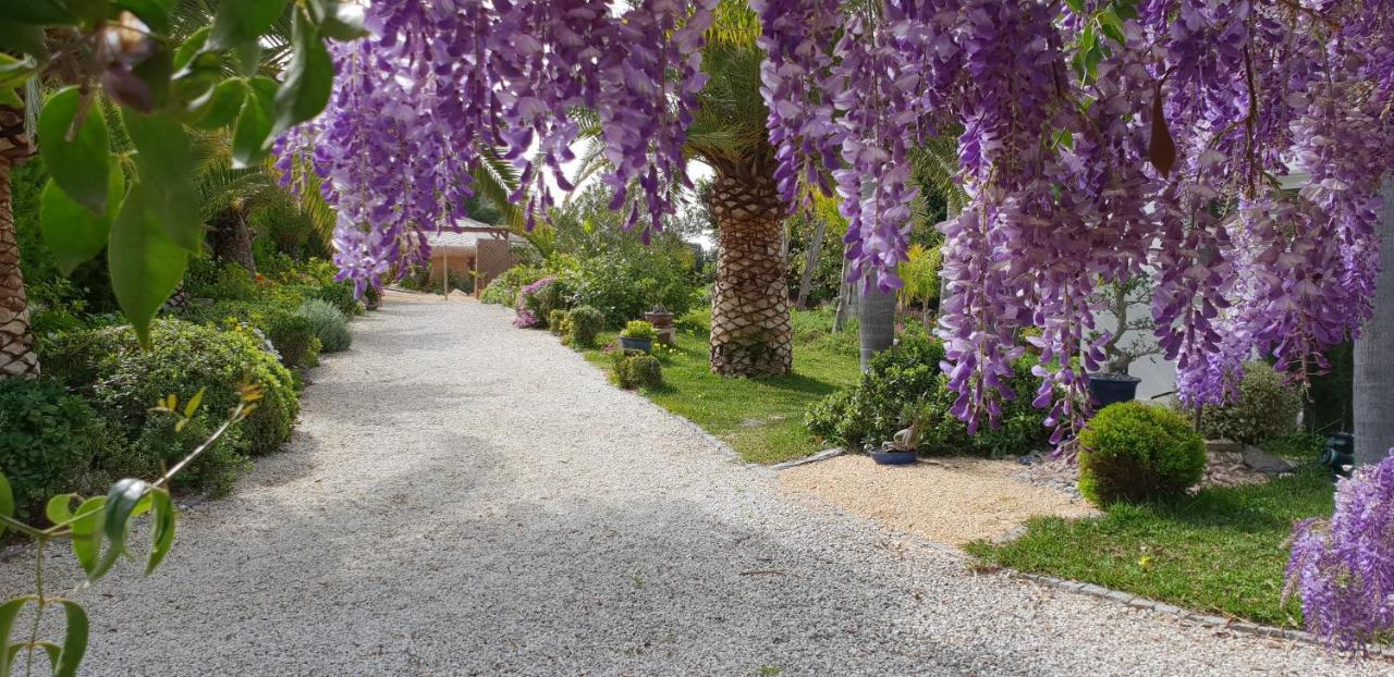 Villa Amadeus Xabia Balcon del Mar Dış mekan fotoğraf